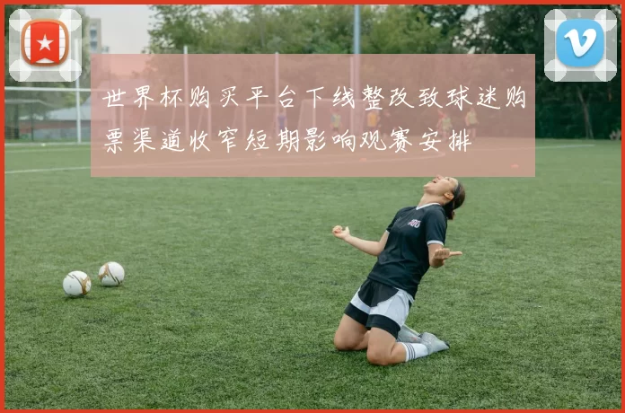 世界杯购买平台下线整改致球迷购票渠道收窄短期影响观赛安排