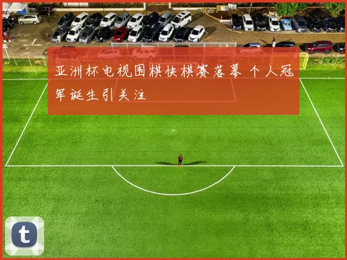 亚洲杯电视围棋快棋赛落幕 个人冠军诞生引关注