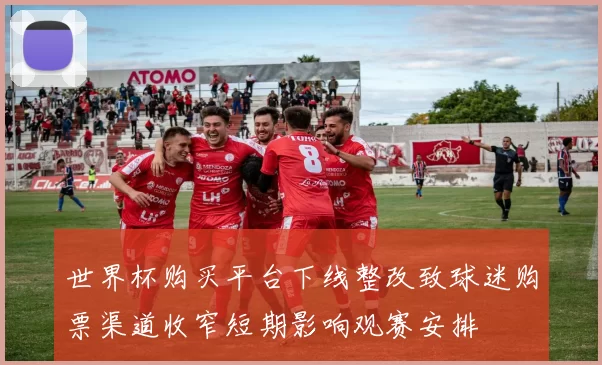 世界杯购买平台下线整改致球迷购票渠道收窄短期影响观赛安排