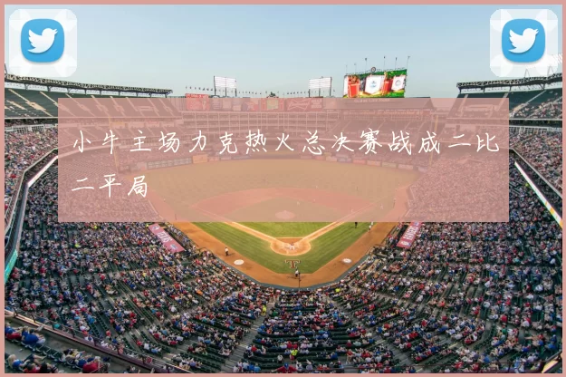小牛主场力克热火总决赛战成二比二平局