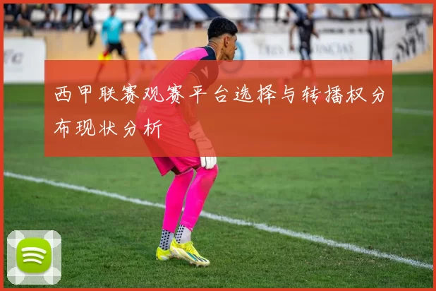 西甲联赛观赛平台选择与转播权分布现状分析